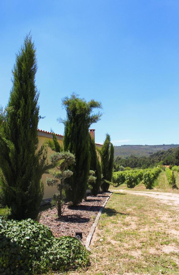 Quinta Das Regueiras Viseu Exterior photo